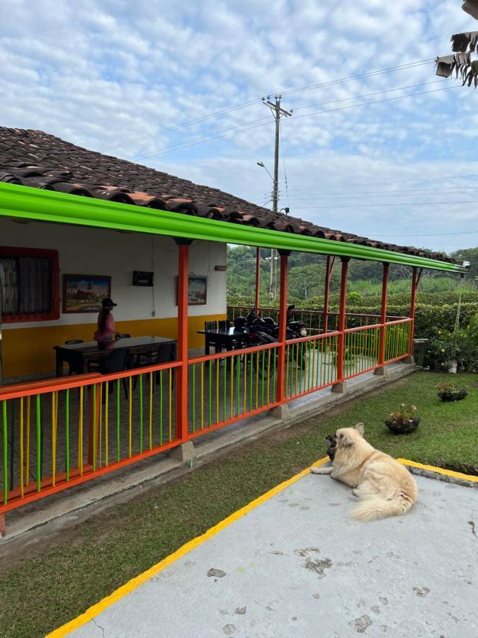 Alojamiento Campestre Hawaii モンテネグロ エクステリア 写真